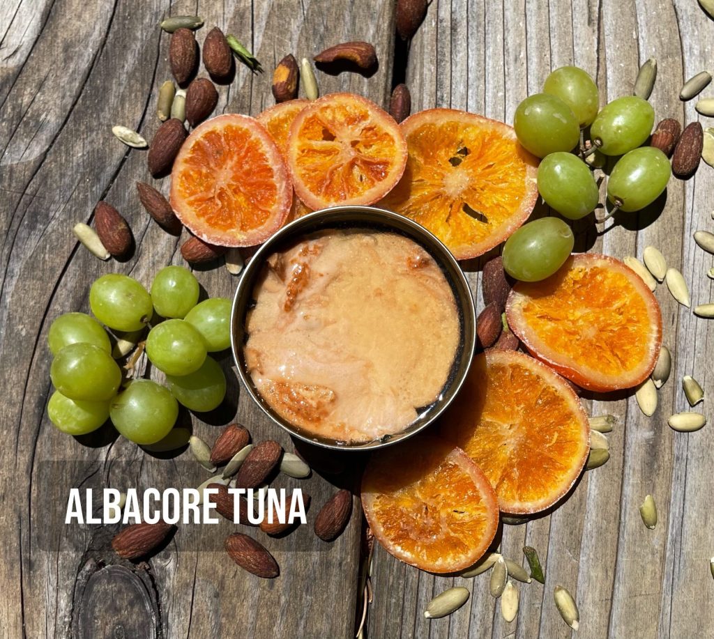 Albacore 1 scaled 1.jpg