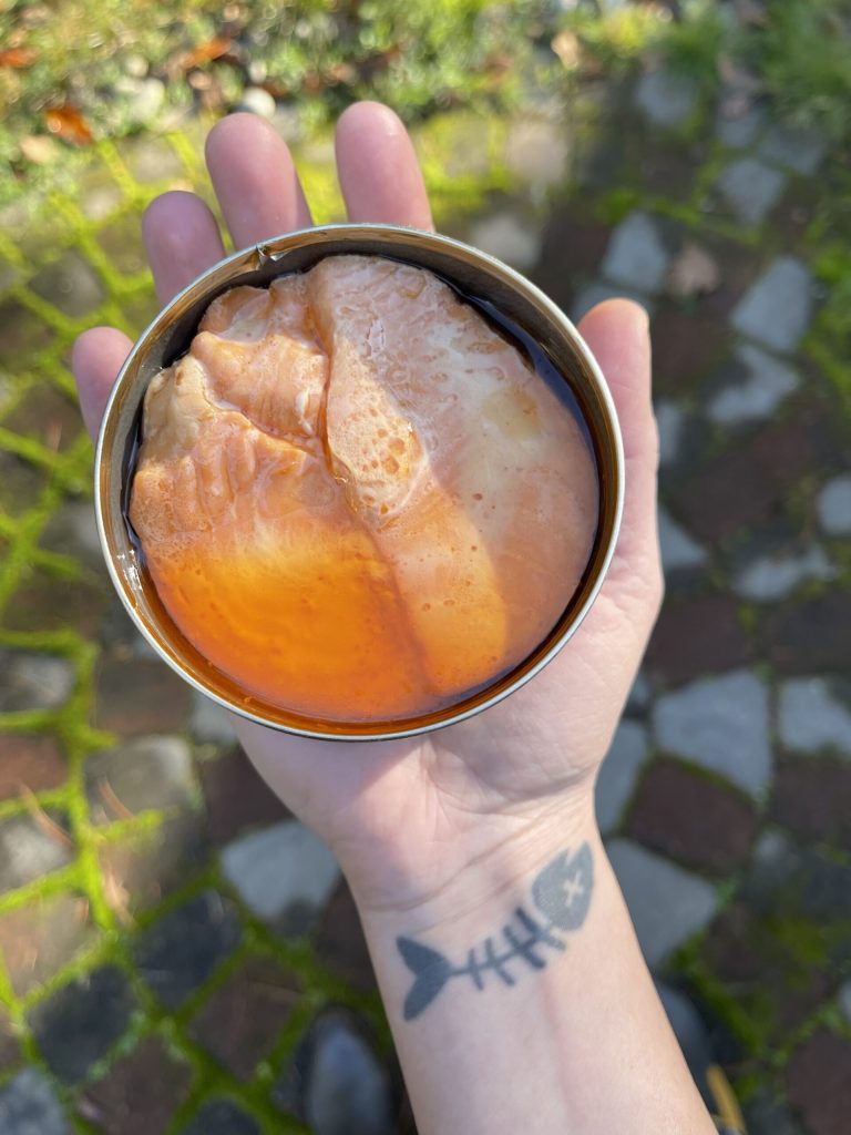 Salmon can open scaled 1.jpg
